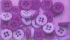 Violet Two Tone Buttons