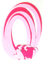 Pink Oval Paper Frame