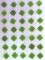 Green Diamond Droplet Shapes