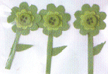 Green Button Flowers