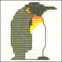 Emperor Penguin