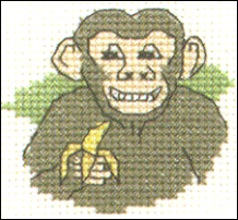 Chimp