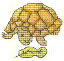 Tortoise