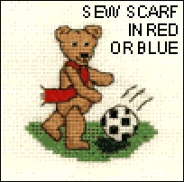 Football Teddy