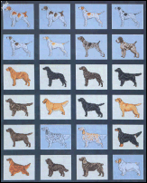 Sporting Dogs