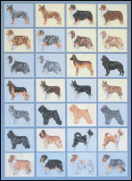 Herding Dogs