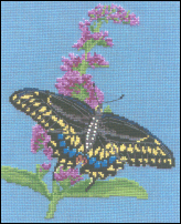 Swallowtail Butterfly Bush
