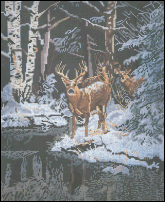 Backwater Buck