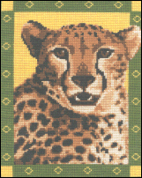 Cheetah