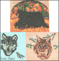Bear, Bobcat & Wolf