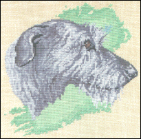 Irish Wolfhound