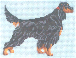 Gordon Setter