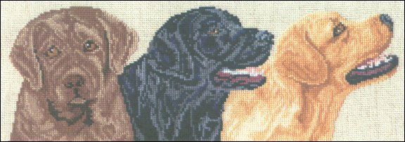 LAbrador Retriever Trio